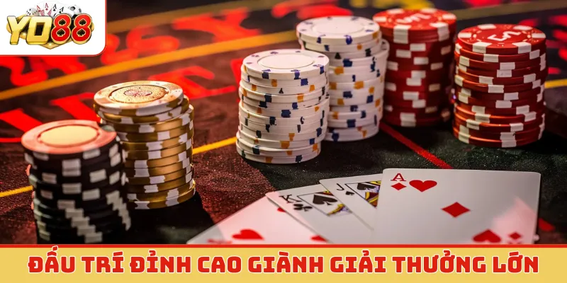 Đấu trí đỉnh cao giành giải thưởng lớn